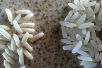 ¿Está llegando arroz de plástico a tu país? Te explicamos cómo reconocerlo