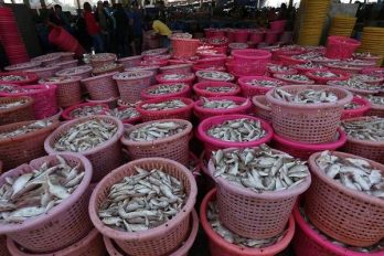 Un estudio cuestiona lo saludable de ciertos pescados en la dieta: el mercurio podría aumentar el riesgo de ELA