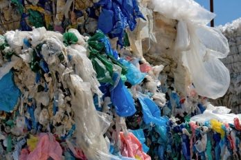 Kenia prohibe las bolsas de plástico