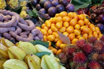 Conozca cuáles son las frutas exóticas que produce Colombia para el mundo