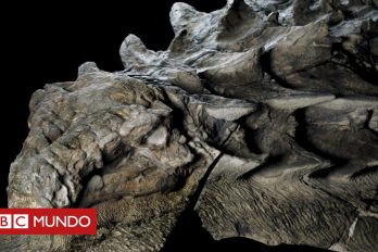 “Es como ganar la lotería”: el asombroso hallazgo de un fósil de dinosaurio “intacto” que parece una estatua