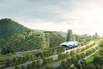 China construye la primera ciudad bosque del mundo