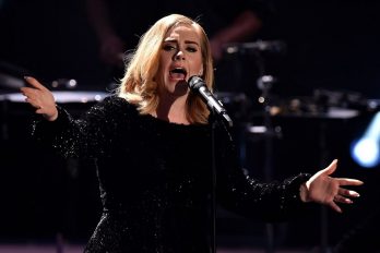 Adele detiene un concierto al ser atacada por un grupo de mosquitos