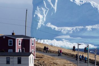 Un impresionante iceberg sorprende a una pequeña ciudad en Canadá